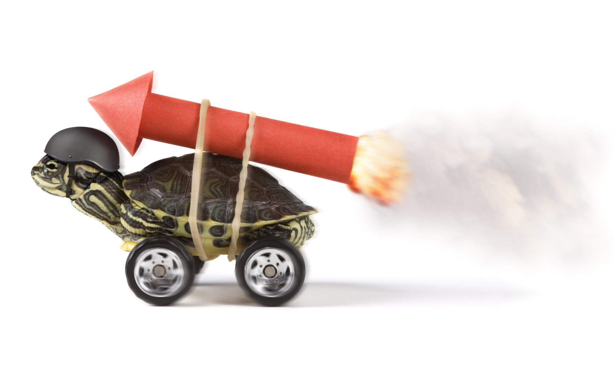 Istock 157420743 scaled